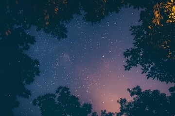 Ethereal Night Sky with Stars Through Canopy Leaves