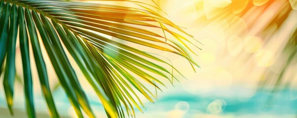Beautifully blurred green palm leaf on a tropical beach with an abstract background of sun light waves. - obrazy, fototapety, plakaty