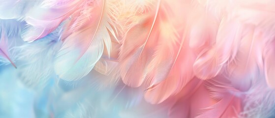 Colorful pastel background with soft feathers in gentle colors, dreamy and ethereal, blurred background for copy space. Abstract nature concept. - obrazy, fototapety, plakaty