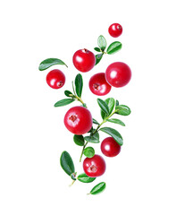 Group of cranberries with leaves in the air close up isolated on a white background