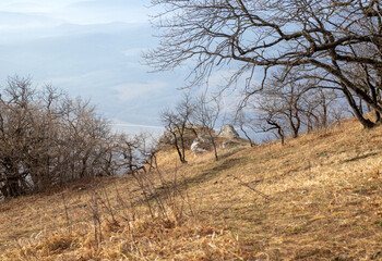 morning in the nature park, awakening of nature, mountainous terrain panorama and dirt roads