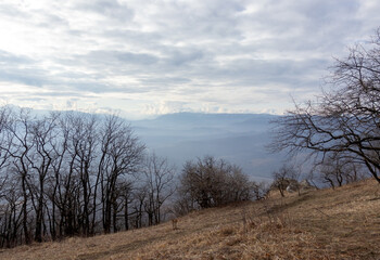 morning in the nature park, awakening of nature, mountainous terrain panorama and dirt roads