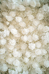 White Rose Wall 2