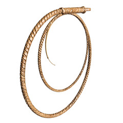 3d rendered whip isolated on transparent background