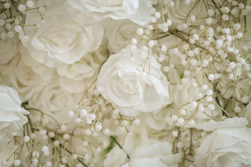 White Roses 3