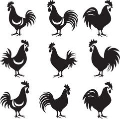 Black silhouette Rooster hen on white background