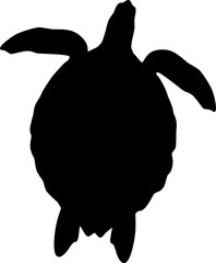 silhouette of a turtle