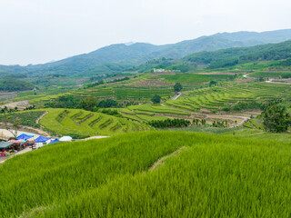 Fototapeta na wymiar Beautiful scenery of Yahu Rice Terraces in Wuzhishan, Hainan, China