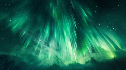 Fototapeten Vibrant northern lights in night sky  ultradetailed long exposure aurora photography © RECARTFRAME CH