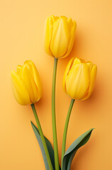 three yellow tulips on a yellow surface, in the style of bold color palate сreated with Generative Ai