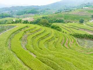 Beautiful scenery of Yahu Rice Terraces in Wuzhishan, Hainan, China