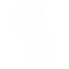 black and white background