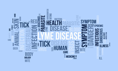 Lyme Disease word cloud template. Health and Medical awareness concept vector background.