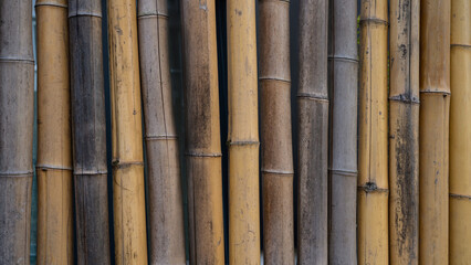 Bamboo tubes fence texture background banner pattern wall, wooden wood structure