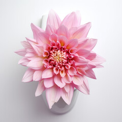 flower on toilet white backround сreated with Generative Ai