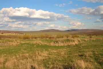 Fototapeta premium A grassy field with hills in the background