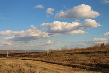 A field with grass and trees