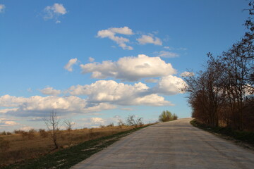 Fototapeta premium A road with trees on the side