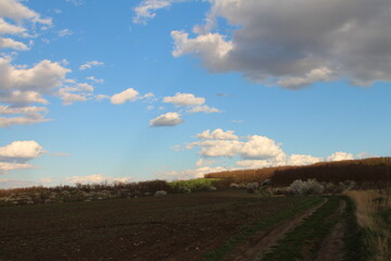 A dirt road with a field and blue sky with clouds