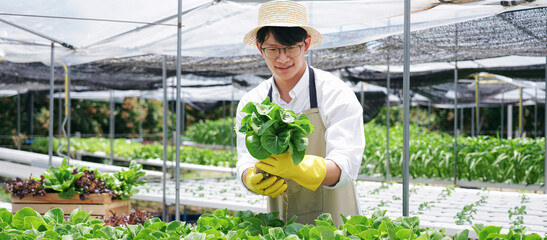 A man farmer is holding organic vegetables in hand - 775182249
