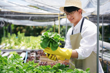 A man farmer is holding organic vegetables in hand
