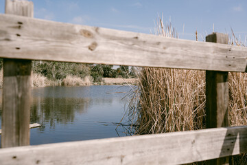fence with view of lagoon in Carlsbad California 