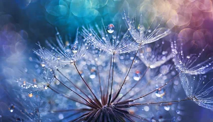 Kussenhoes Beautiful dew drops on a dandelion seed macro Beautiful soft light blue and violet background Water  © anandart