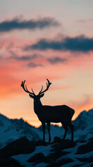 Silhouette of a deer at sunset with mountain background
