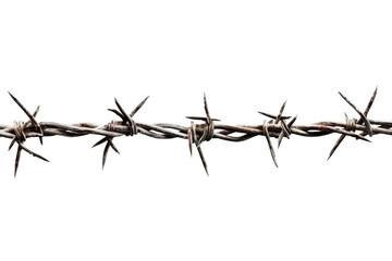 Entwined Chaos: A Close Up of Barbed Wire on a White Background. White or PNG Transparent Background.