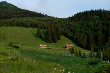 Houses in the mountains for farmers. Sheep cheese factory. - obrazy, fototapety, plakaty