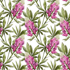 Blooming lupine flowers with green leaves watercolor seamless pattern on white background. Realistic botanical drawing of magenta pink lupines for spring and summer prints, fabrics, packaging