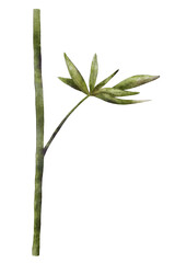 Lupine flower colorful green leaf watercolor illustration isolated on transparent background for botanical stickers, compositions, wedding invitations, packaging, cards, labels, textile prints etc.