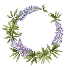 Blue lupine flowers with green leaves round wreath watercolor illustration isolated on transparent background. Spring frame with copy space for text for botanical stickers, logo, labels and postcards.