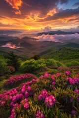 Majestic Sunset Over Mountain Range With Pink Flowers
