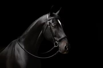 Fotobehang horse with bridle standing in front of a white halter, in the style of monochromatic minimalist portraits сreated with Generative Ai © Andrii Yablonskyi