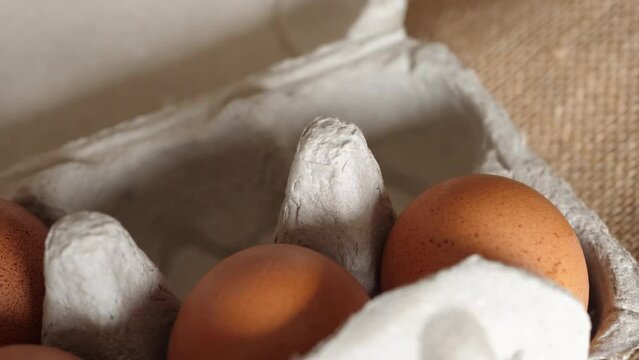 Collecting a Brown Egg from Cardboard Carton