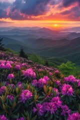 Beautiful Sunset Over Mountains With Pink Flowers