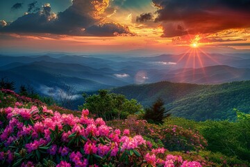 Stunning Sunset Over Mountains With Pink Flowers