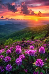 Majestic Sunset Over Mountains With Pink Flowers