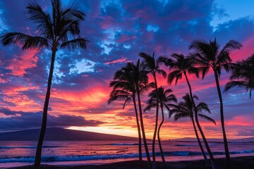 Fototapeta na wymiar Sunset With Palm Trees and Ocean