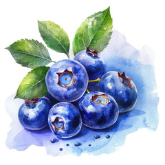 Painting of blueberries on blue backdrop