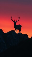 Silhouette of a deer at sunset on a rocky terrain