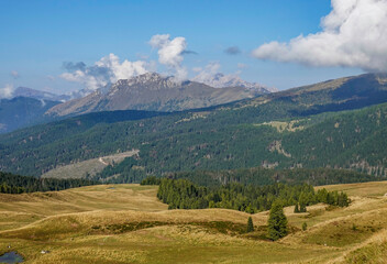 Summer view of the famous Pale di San Martino  landscape, near San Martino di Castrozza, Italian Dolomites, Europe                        