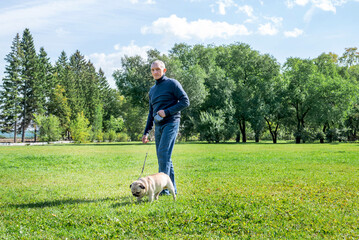 An adult man walks in the park with his pug dog on a sunny summer day, a selective focus