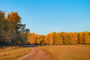 autumn landscape with bright colors in good weather