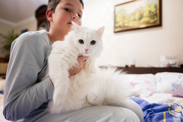 White Fluffy Cat Enjoying Affectionate Human Embrace