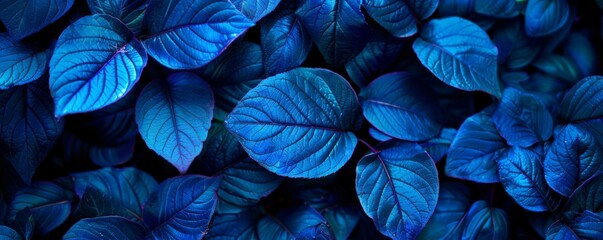 Blue leaves in dark moody lighting - obrazy, fototapety, plakaty