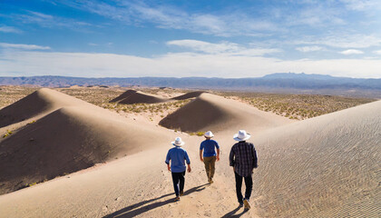 caminata por el desierto - obrazy, fototapety, plakaty