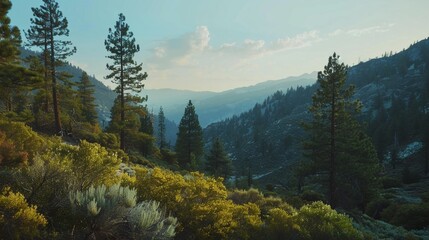 landscape in the morning