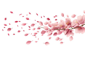 Cherry blossom leaves drifting in the wind isolated on transparent background